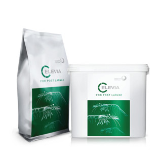 CÁM PHÁP CELEVIA 5/8 60% ĐỘ ĐẠM, KHÔNG LÀM ĐỤC NƯỚC. THỨC ĂN CHÌM THAY THẾ TRÙN CHỈ CHO GUPPY