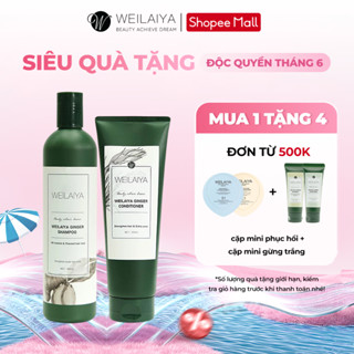Cặp dầu gội đầu và dầu xả tóc thảo dược Weilaiya gừng trắng ngừa gàu ngăn rụng và kích thích mọc tóc