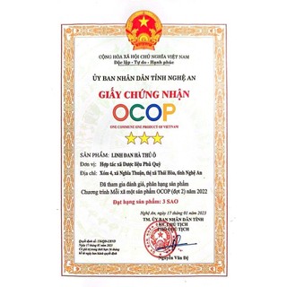 1kg hạt hà thủ ô Phủ Quỳ Nghệ An cao cấp