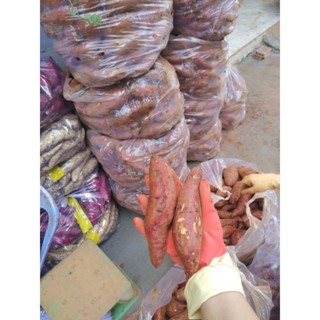 Nhiều size-5kg Khoai lang mật Tà nung