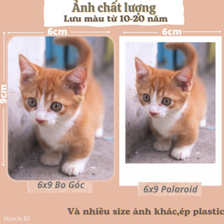 In Ảnh Polariod 6x9cm Theo Yêu Cầu - In Ảnh Bo Góc Chống Nước Sắc Nét - in hình 5x7 cm - 7x10 cm
