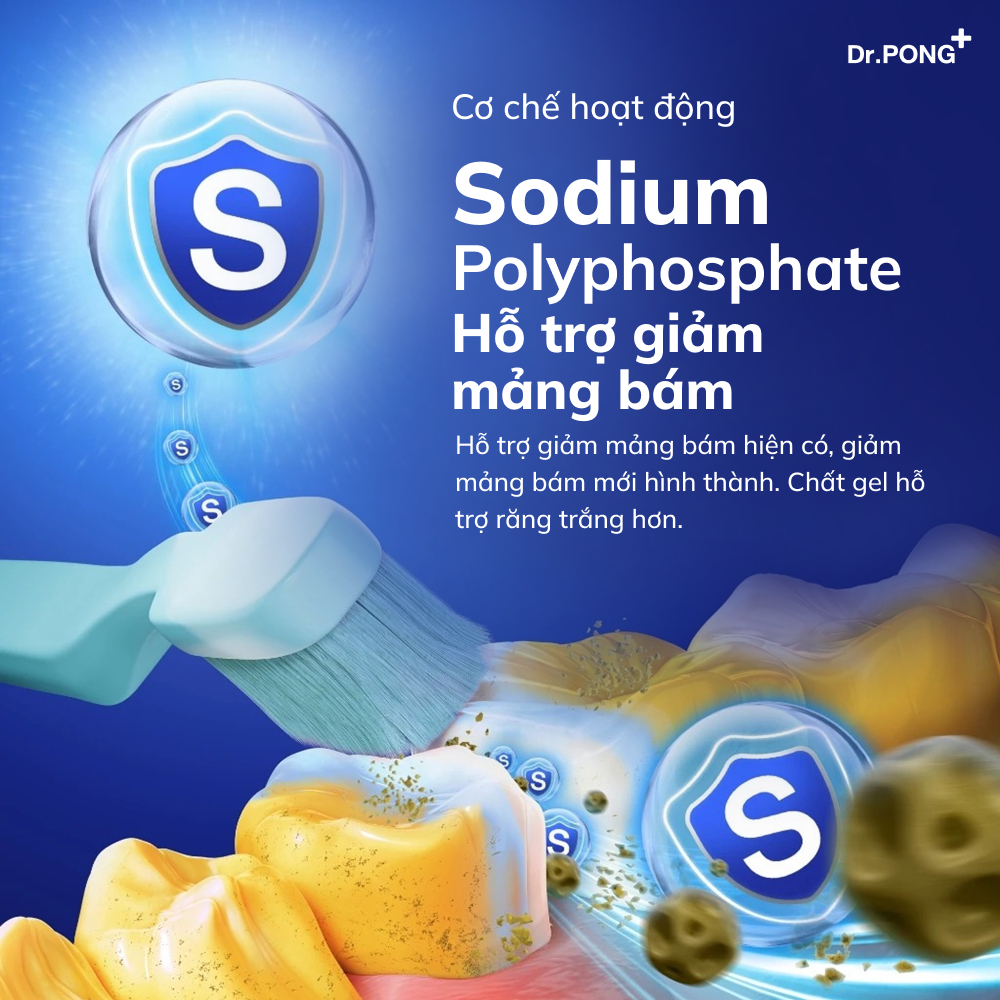 Set hỗ trợ làm trắng răng 2 bước Dr.PONG Y2B Whitening Color Set 100g | BigBuy360 - bigbuy360.vn
