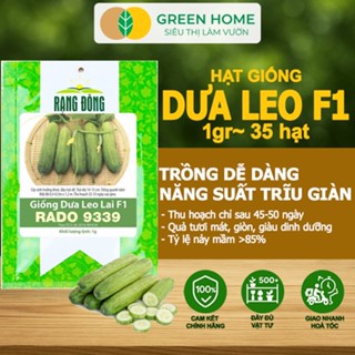 Hạt Giống Dưa Leo GreenHome, Gói 1gr~35 hạt, Dễ Trồng Quanh Năm, Nảy Mầm Cao, Thu Hoạch Nhanh T02