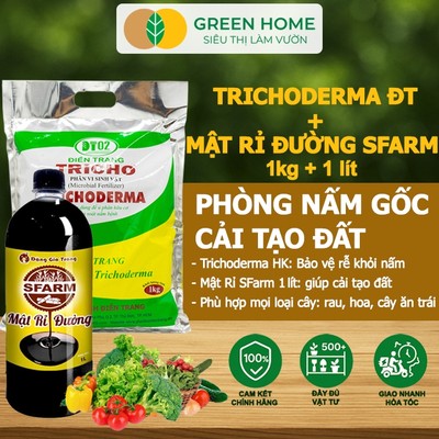 Combo Nấm Đối Kháng Trichoderma 1kg Và Mật Rỉ Đường Sfarm 1Lít, Greenhome,  Ủ Phân Bón, Ủ Đậu, Ủ Rác