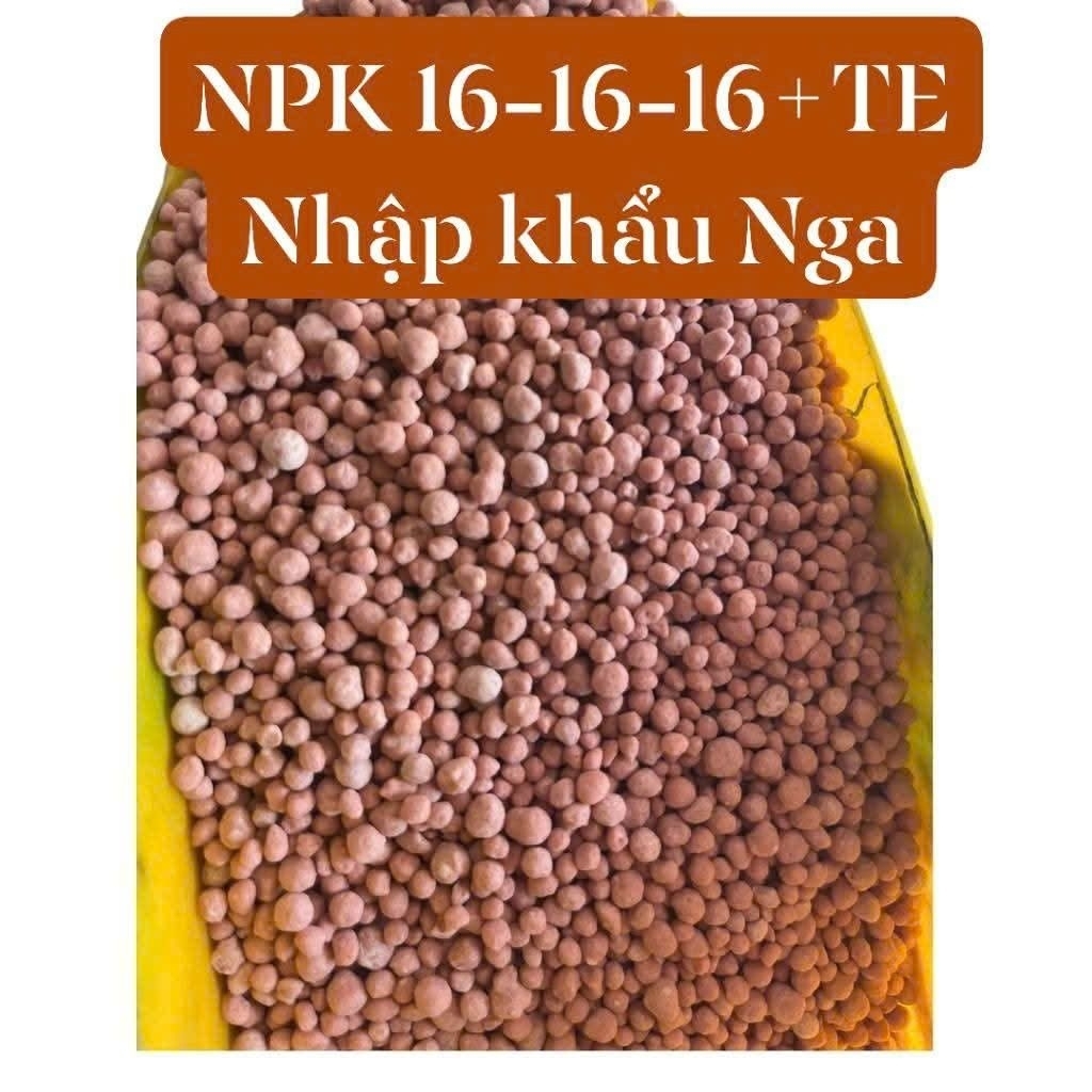 Phân Bón NPK 16-16-16+TE {1kg} (nhập khẩu Nga) Công Nghệ Tháp Cao.