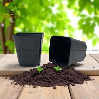  CNVDL2 - Sét 100 chậu nhựa vuông đen ươm trồng cây size 5.2x6cm 