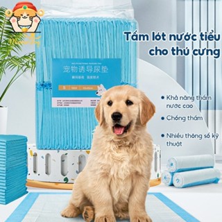 Tã than hoạt tính thấm hút cao cho mèo và chó / thảm lót hộp vệ sinh cho mèo và chó LGP00124