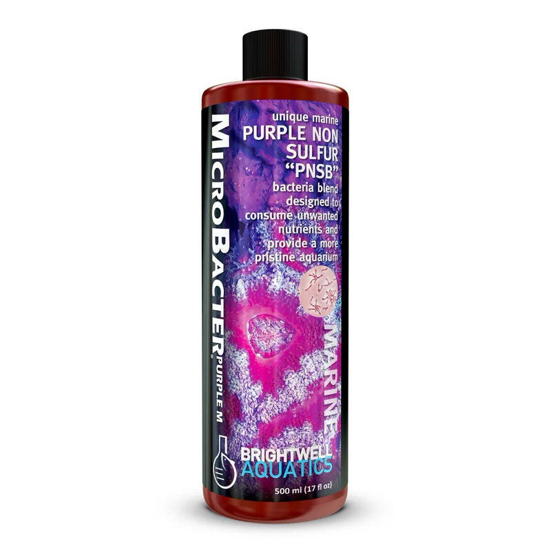 Brightwell Aquatics MicroBacter Purple M – Vi Sinh sống PNS Bacteria