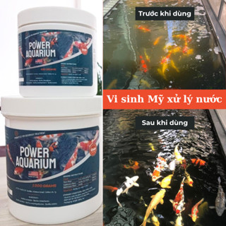  Viên nén vi sinh bể cá USA Power Aquarium - Làm trong nước khử mùi xử lý nước hồ cá Koi cá cảnh 