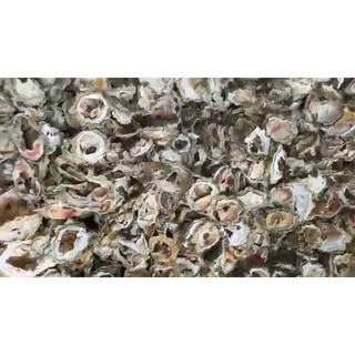Mướp đắng 1kg