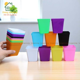 CVL1 - Sét 10 chậu vuông nhựa PP chuyên trồng sen đá xương rồng bonsai cây để bàn size 7x7x8cm