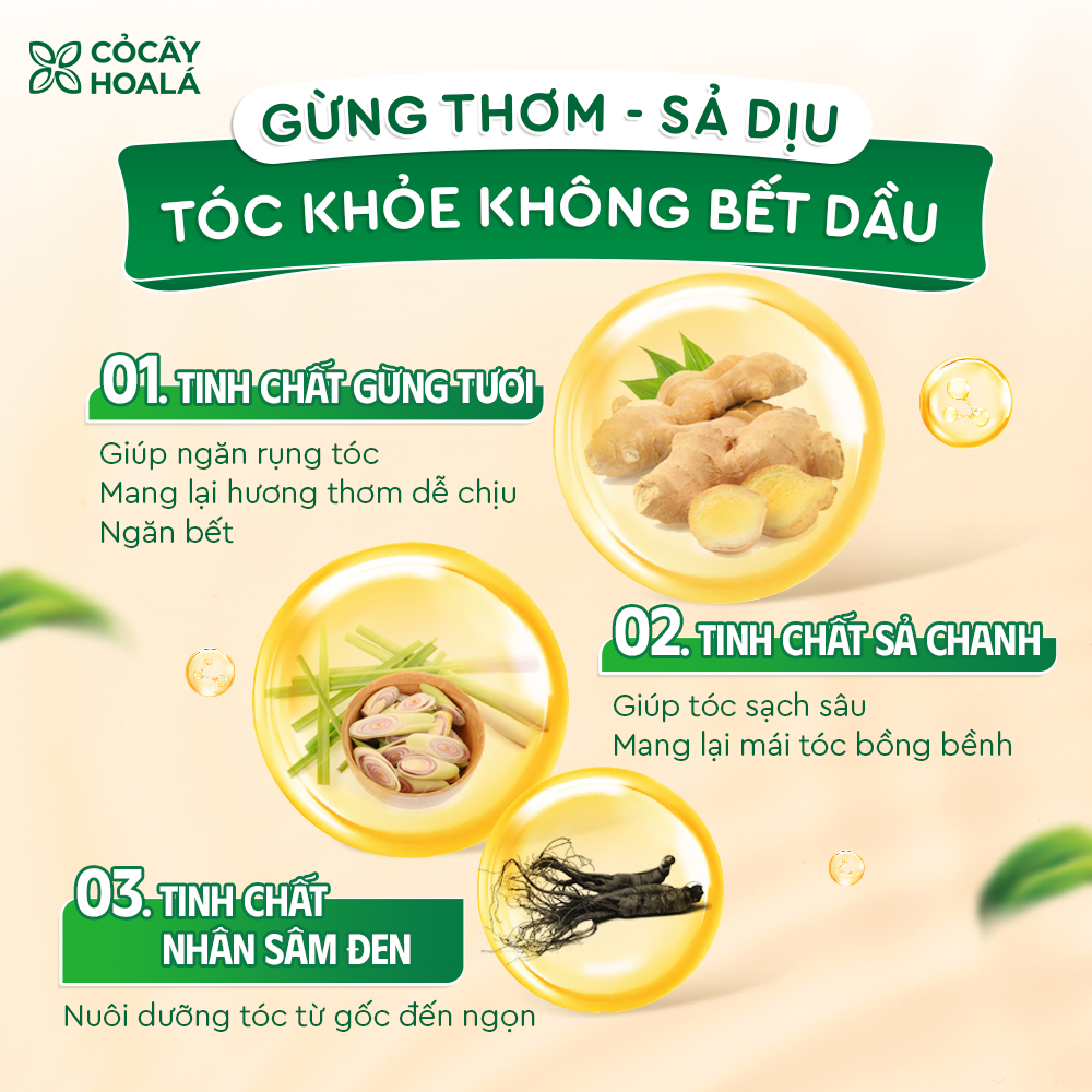 Dầu Gội Thảo Dược Cỏ Cây Hoa Lá Gừng Sả Hỗ Trợ Làm Dày Tóc, Làm Sạch Da Đầu 500g | BigBuy360 - bigbuy360.vn
