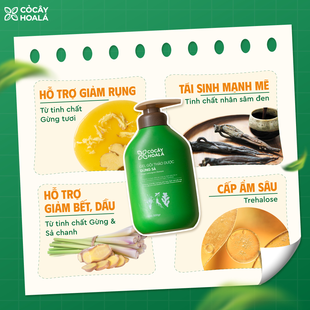 Dầu Gội Thảo Dược Cỏ Cây Hoa Lá Gừng Sả Hỗ Trợ Làm Dày Tóc, Làm Sạch Da Đầu 500g | BigBuy360 - bigbuy360.vn