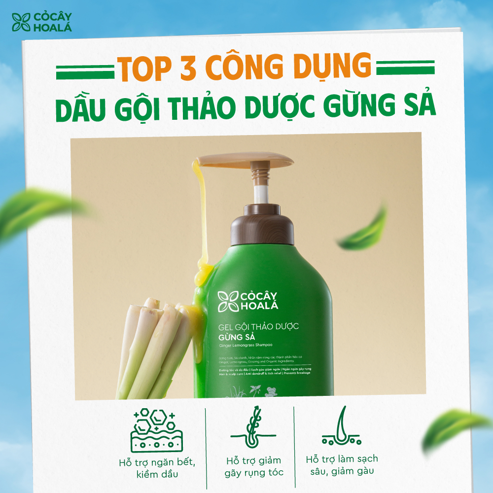 Dầu Gội Thảo Dược Cỏ Cây Hoa Lá Gừng Sả Hỗ Trợ Làm Dày Tóc, Làm Sạch Da Đầu 500g | BigBuy360 - bigbuy360.vn