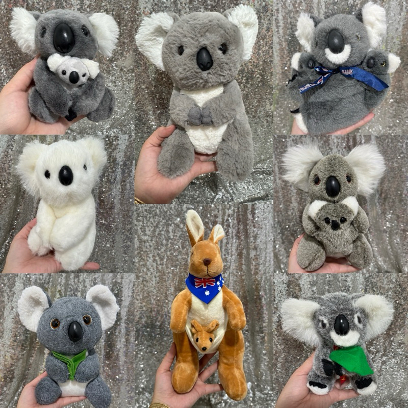 gấu bông koala kangaroo
