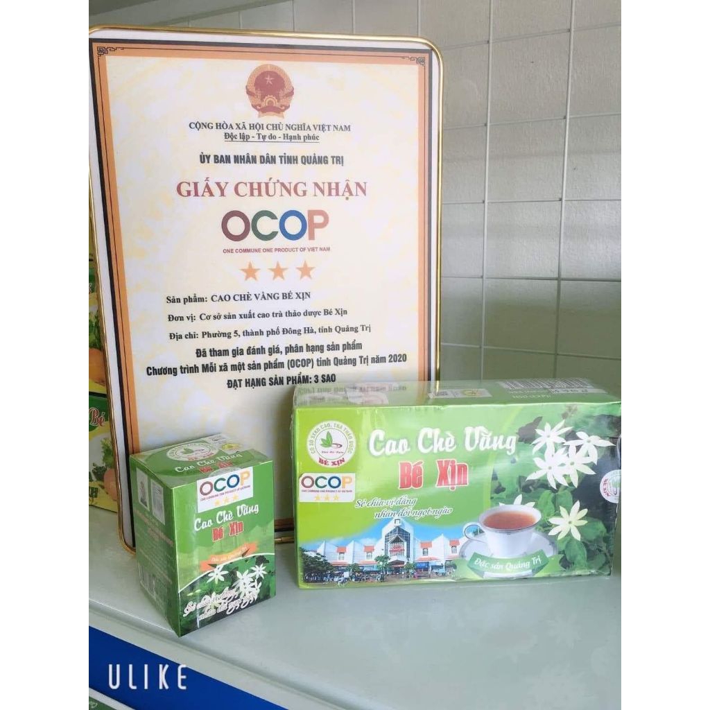 Cao chè vằng Bé Xịn