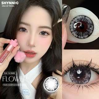   1 CẶP  CẬN 0-6 ĐỘ LENS Kính áp tròng GRAY 14.5MM xám vân hoa mắt mèo 14.5mm giãn to - SHYNNIE LENS 