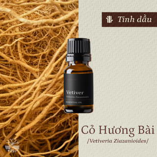 Tinh dầu Cỏ Hương Bài – Vetiver Madagascar thiên nhiên thơm lành xông phòng hương đất gỗ đậm đà an thần ngủ ngon | SCENT