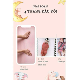 Chũn quấn Cocoon