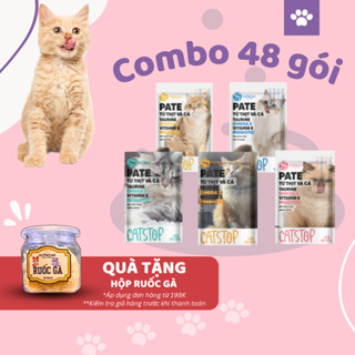 Pate cho mèo thùng 48 gói 100g combo đồ ăn cho pet thú cưng - Tạp hóa thú cưng 9669
