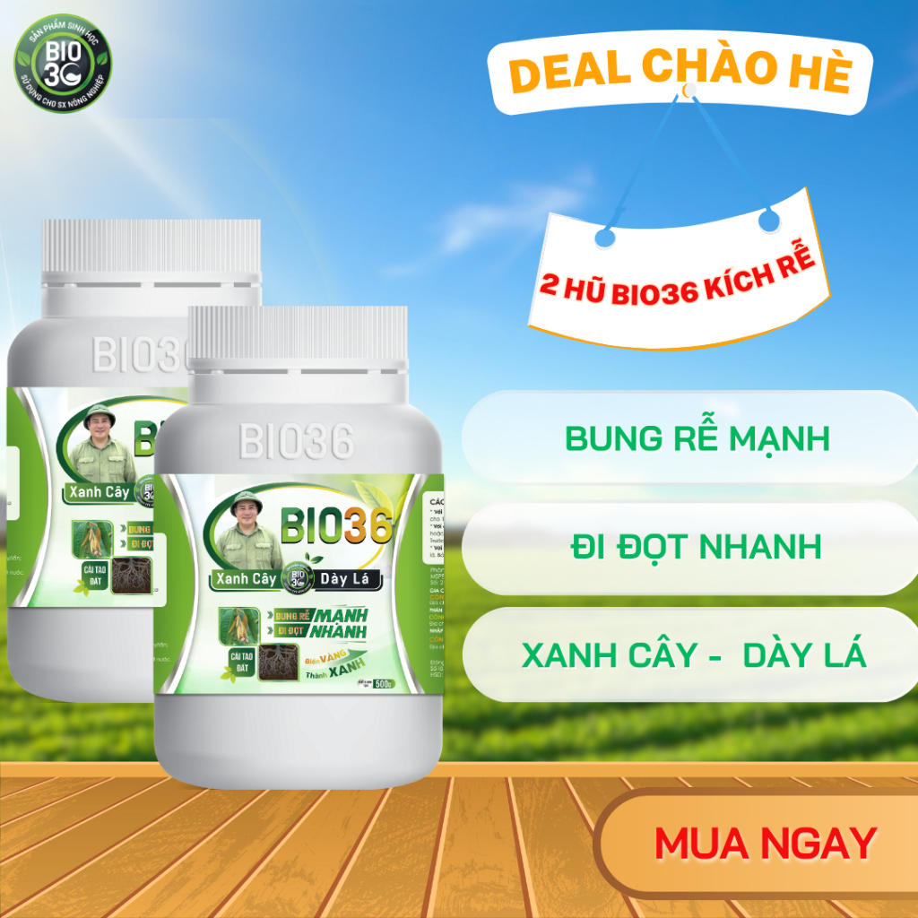 Combo 2  Hũ Bio36 Siêu Kích Rễ, Phân Bón Bio36 Bung Rễ Mạnh Đi Đọt Nhanh, Phục Hồi Cây Trồng - 500g