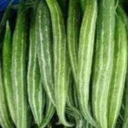 Hạt giống lặc lè Thái cao sản (5-10H)