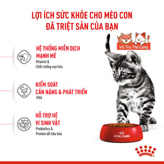 Thức Ăn Hạt Cho Mèo Con Royal Canin Kitten