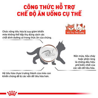 Thức Ăn Hạt Cho Mèo Con Royal Canin Kitten
