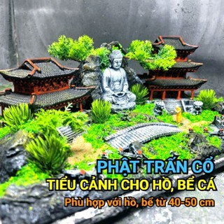 Layout Cổ trấn, Ngộ Không ,Bái Phật bể cá mini để bàn, phụ kiện bể cá thủy sinh setup sẵn, bể cá mini độc lạ