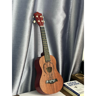 Đàn Ukulele Concert Hình Doremon