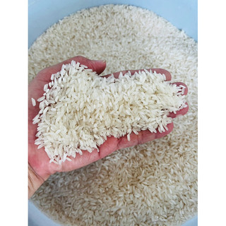 10 Kg Gạo 504 Nở Xốp Mềm Cơm