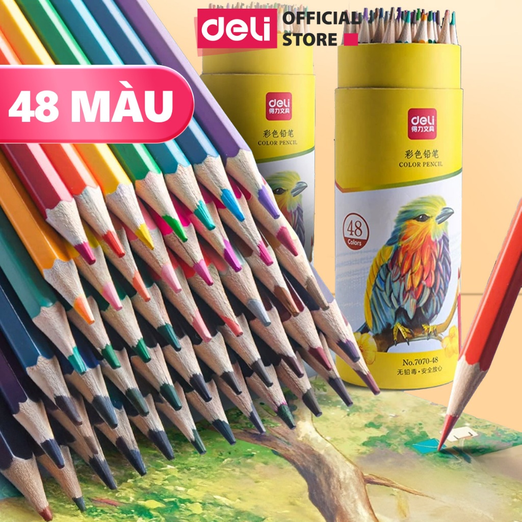 [HỎA TỐC] Bút Chì Màu Gốc Dầu Dạng Cốc 48 Màu Sắc Tươi Sáng An Toàn Cho Bé Vẽ Thiết Kế Phác Họa Tô Màu