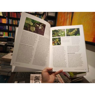 Sách - Wine Science: The Application of Science in Winemaking - Wine / Science