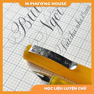 Bút Cánh diều Ngòi G trắng C02- C104 - C110 - C109 (Calligraphy)