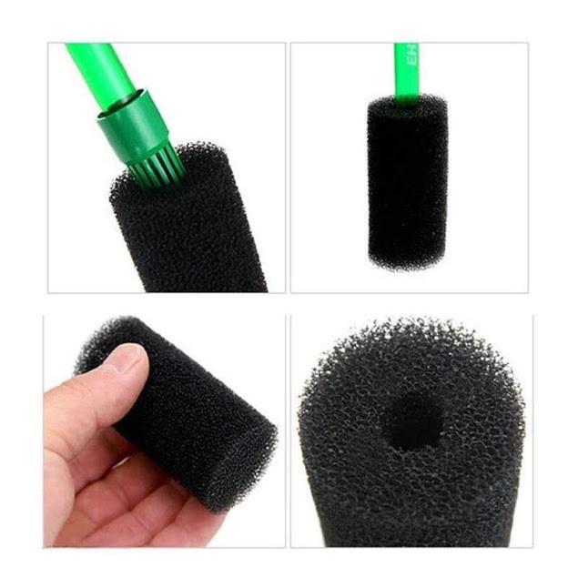 Bịt Tép Mút Đầu IN Bể Thủy Sinh - Bể Cá Cảnh