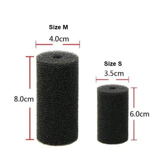 Bịt Tép Mút Đầu IN Bể Thủy Sinh - Bể Cá Cảnh