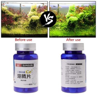 Viên CO2 cho bể thủy sinh - bể cá cảnh