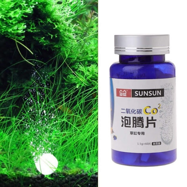Viên CO2 cho bể thủy sinh - bể cá cảnh