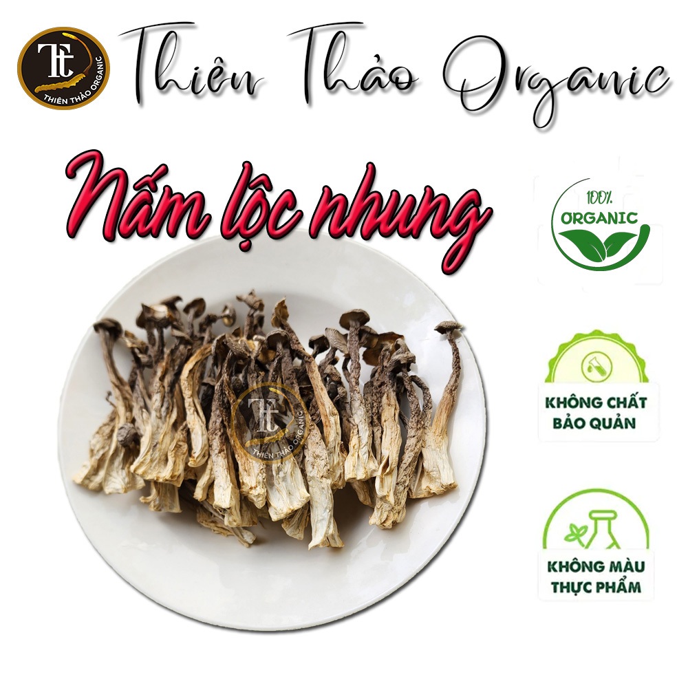 200g Nấm Lộc Nhung loại 1 nguyên cây Thiên Thảo Organic