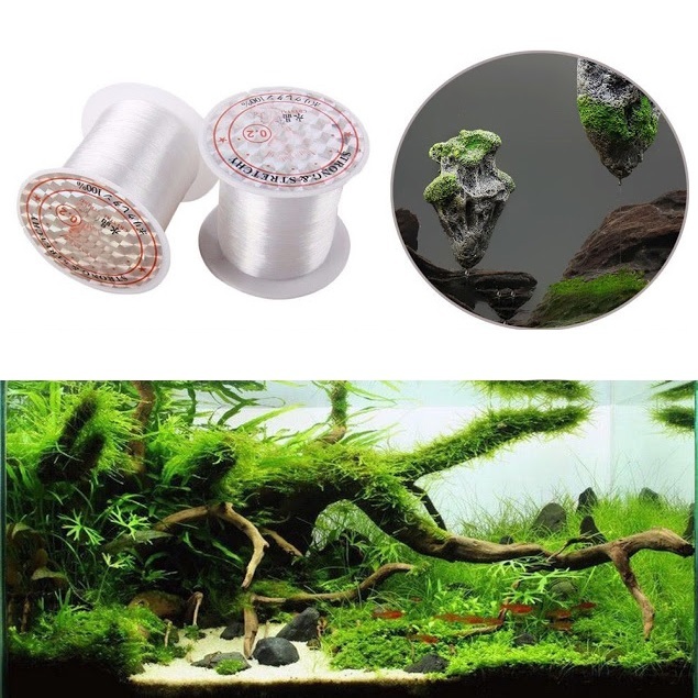 Cước Buộc Cây Cho Bể Thủy Sinh