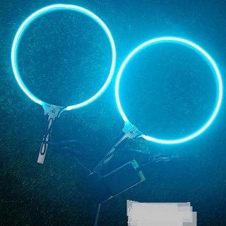  Đèn LED neon hào quang có nhiều đường kính đèn D10cm đến D40cm  trang trí tượng công giáo 