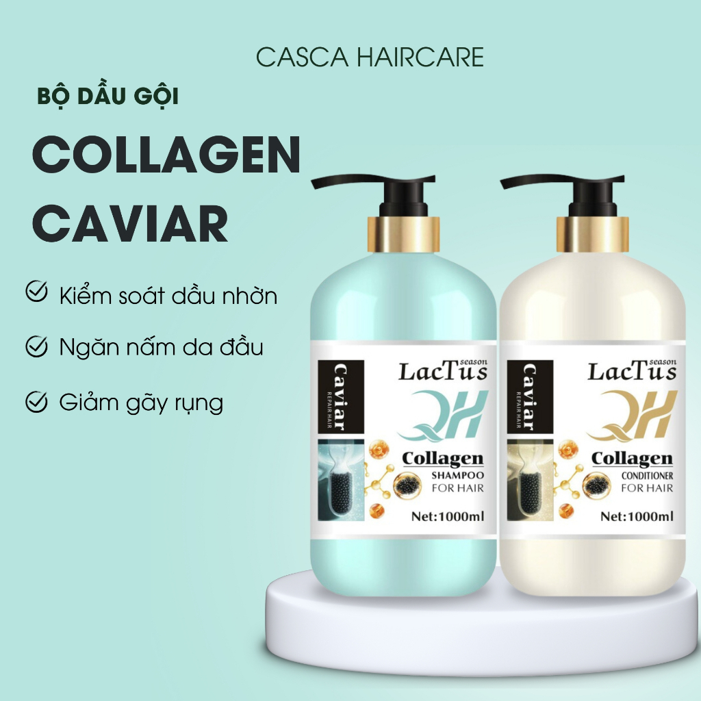 Dầu gội QH lactus collagen caviar trứng cá tầm, chống lão hóa da đầu, ngăn gàu  cho tóc gãy rụng 100