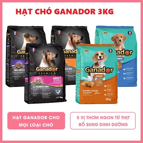 FREESHIP XTRA! Thức ăn hạt Ganador 3kg - Cho chó mọi lứa tuổi.