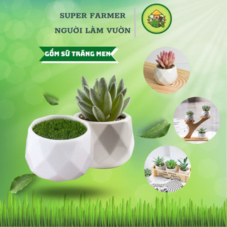  Chậu Sứ Trồng Cây Sen Đá Xương Rồng Cẩm Trang Trí Để Bàn - NGƯỜI LÀM VƯỜN 