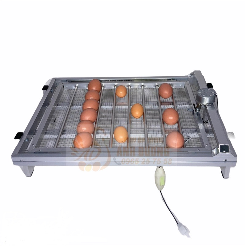 Khay đảo trứng tự động 54 trứng, dùng cho máy có điều khiển đảo
