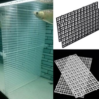 Tấm ngăn bể cá cảnh - bể thủy sinh