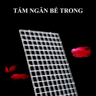 Tấm ngăn bể cá cảnh - bể thủy sinh