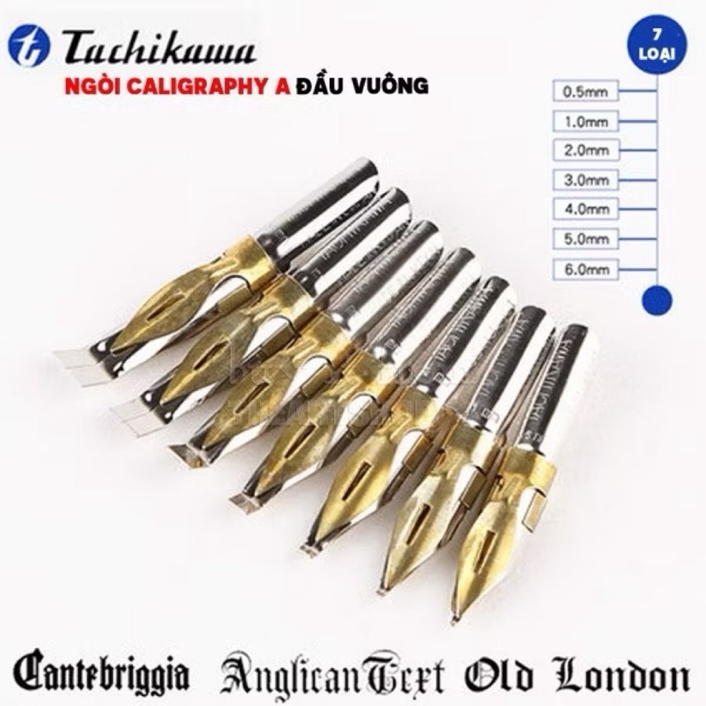 [THEARTSHOP] Ngòi Calligraphy TACHIKAWA loại A (Đầu Vuông) - TACHIKAWA Calligraphy Pen Nib Type A (S
