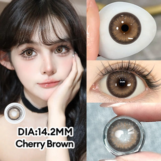   Cherry 0 độ 1 cặp  kính áp tròng MCK1 6 tháng Mysticeyes DIA 14.0-14.5mm màu Brown Grey Blue 