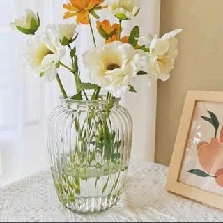 hũ thuỷ tinh sọc / bộ 3 hũ sọc dung tích 650ml , 1250ml , 2200ml đựng gia vị , muối dưa cà , đựng đồ khô
